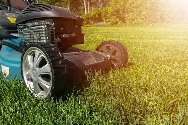 Can You Mow Wet Grass in Edmond, OK