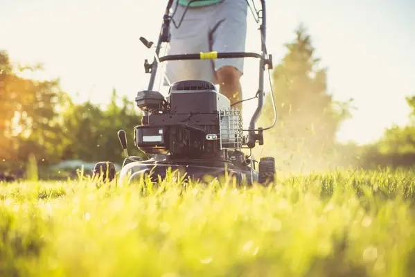 Can You Mow Wet Grass in Edmond, OK