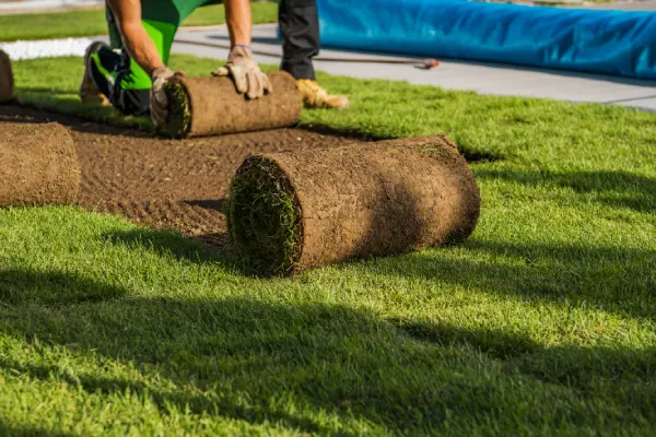 How Long After Installing Sod Can You Walk On It in Edmond, OK