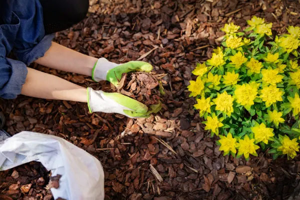 How Long Does Mulch Last in Edmond, OK