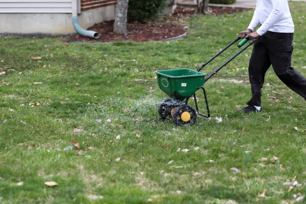 How often should you fertilize your lawn in Edmond, OK