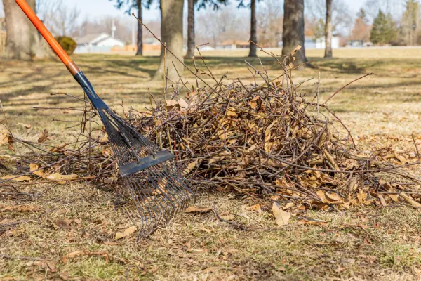 How to Clean a Backyard in Edmond, OK