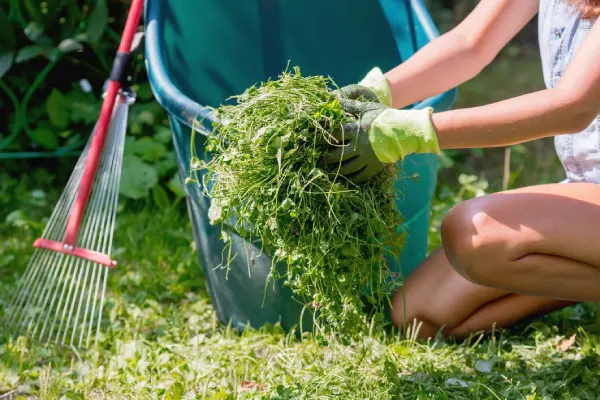 How to Clear a Yard Full of Weeds in Edmond, OK