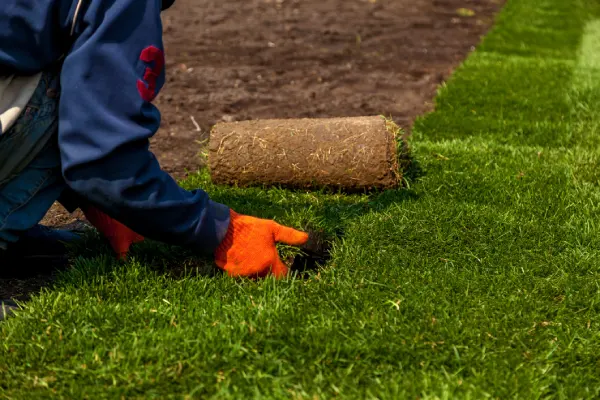 Quality Sod Installation in Edmond, OK