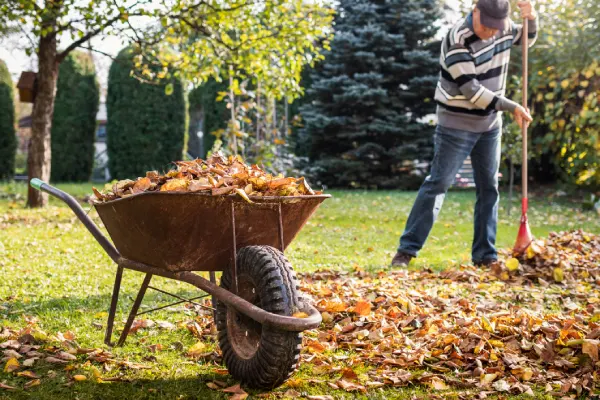 Quality Yard Cleanup in Edmond, OK