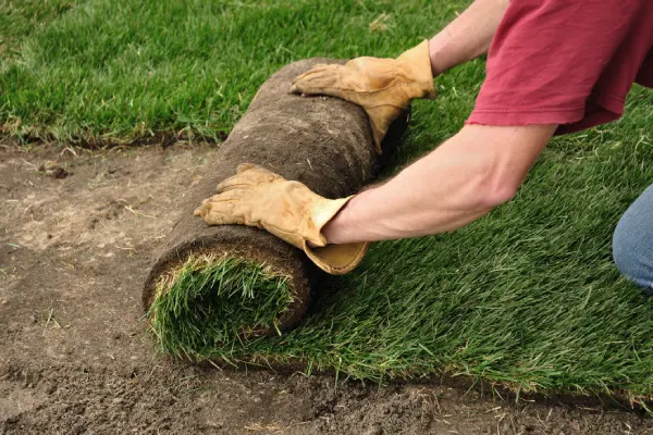 Sod Installation in Edmond, OK