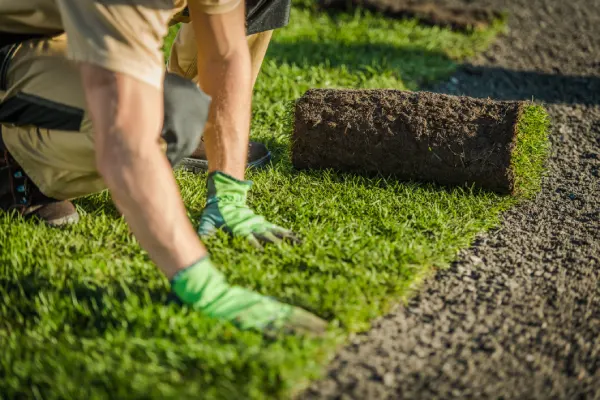 Sod Installation in Edmond, OK