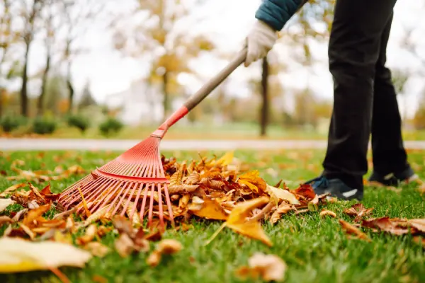 Yard Cleanup in Edmond, OK