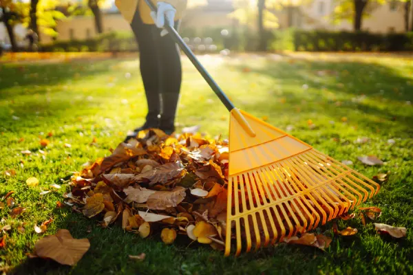 Yard Cleanup in Edmond, OK